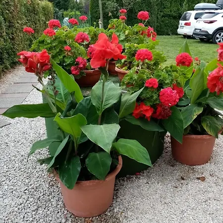 Appartamento Mit Pool, Wlan Direkt Am 70qm Balatonmáriafürdő